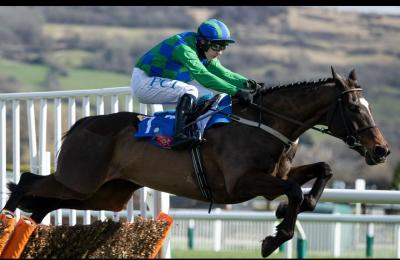 Irish Champion Hurdles - Dublin