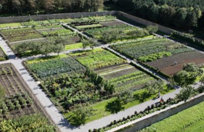 Lissadell House & Gardens