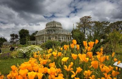 National Botanic Gardens - Glasnevin