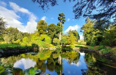 National Botanic Gardens - Kilmacurragh