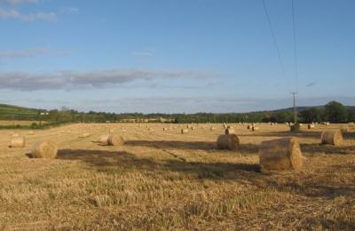 Naul Hills - Dublin