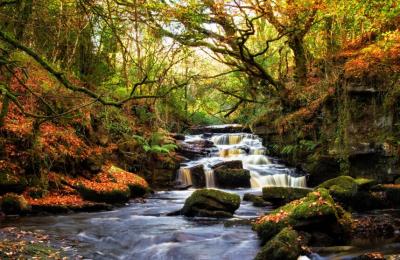 Slieve Bloom Mountains - Laois