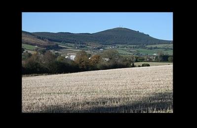 Slieveboy - Wexford