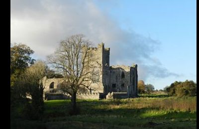 Tintern Abbey, (HI) - Saltmills