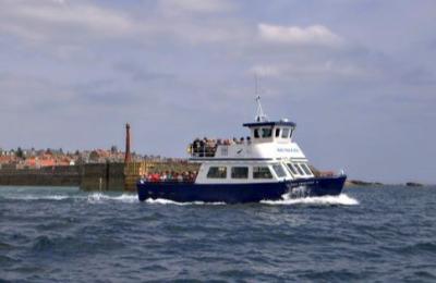 Anstruther Pleasure Trips to Isle of May