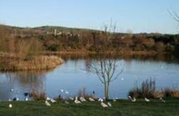 Birnie Loch - Billinghay