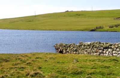 Loch of Breckon - Tangwick