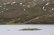 Loch of Brindister - Lerwick