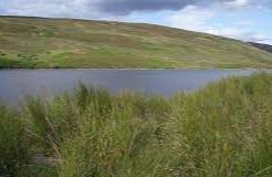 Loch Buidhe - Bonar Bridge