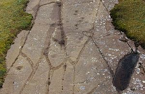 Cairnbaan Cup and Ring Marks, (HES) - Kilmartin