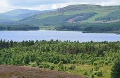 Clatteringshaws Forest Wildlife Centre - New Galloway