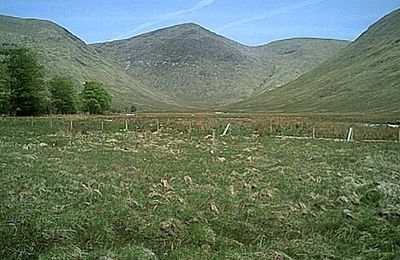 Creach Bheinn - Lochaline