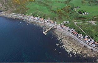 Crovie