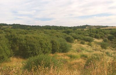 Cullaloe Nature Reserve - Fife