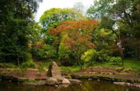 Dalzell Park - Motherwell