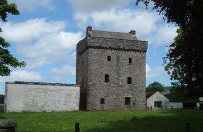 Drumcoltran Tower, (HES) - Dumfries