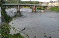 Esk River - Dumfries