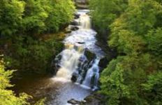 Falls of Clyde Scottish Wildlife Trust - Lanark