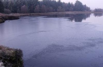 Fannyside Lochs - Cumbernauld