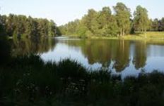 Fingask Loch - Blairgowrie