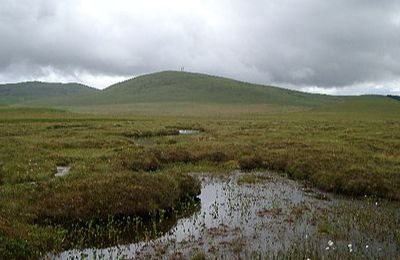 Forsinard RSPB Nature Reserve