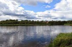 Frankfield Loch - Stepps