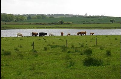 Gadloch - Lenzie