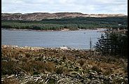 Loch Garasdale - Kilcalmonell