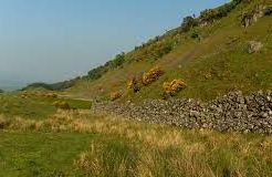 Gargunnock Hills