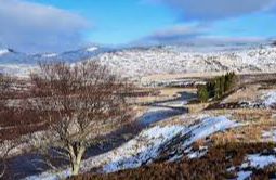 Geallaig Hill - Ballater