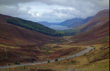 Glen Docherty