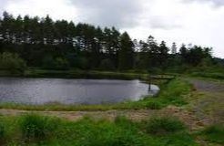 Glenamour Loch - Newton Stewart