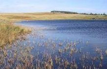 Headshaw Loch - Ashkirk