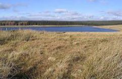 Hellmoor Loch - Roberton