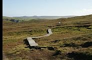 Hermaness National Nature Reserve - Island of Unst