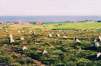 Hill o'Many Stanes, (HES) - Lybster