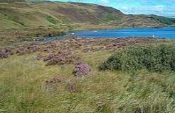 Knapdale - Argyll