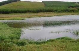 Knocksting Loch - Moniaive