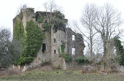 Ladyland Castle and Garden Walls - Kilbirnie