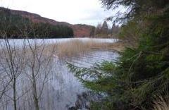 Lochan Lairig Cheile - Lochearnhead