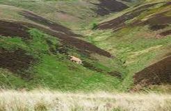 Lammermuir Hills - Gifford