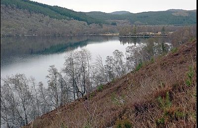 Loch Achilty - Strathpeffer