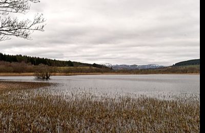 Loch Achnacloich - Alness