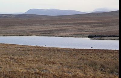 Loch Achnamoine - Kinbrace