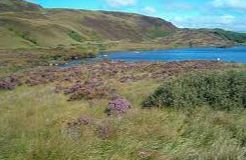 Loch Arail - Ardrishaig