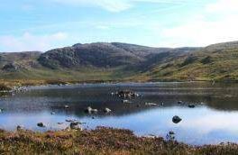 Loch Arron - Glentrool