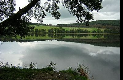 Loch Arthur - Beeswing