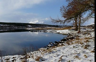 Loch Borralan - Ledmore