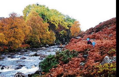 Loch Brora - Brora