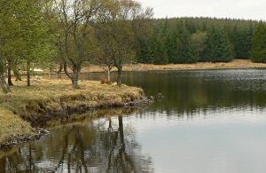 Loch Crannach - Straloch